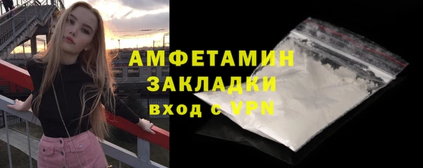молекула духа Осташков