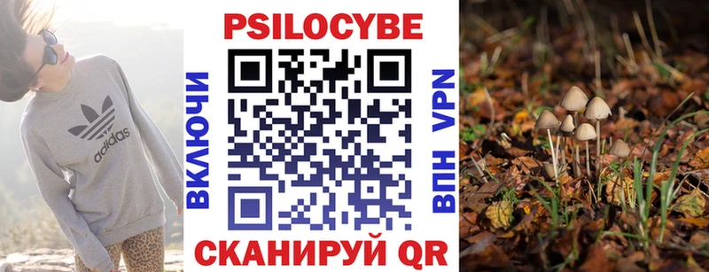 Псилоцибиновые грибы Cubensis  Куса 